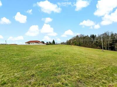 Grundstück kaufen in 7572 Deutsch Kaltenbrunn (Bild 1)