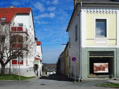 Haus mit Garten kaufen in 7503 Großpetersdorf (Bild 3)