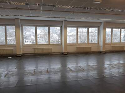 Gewerbeobjekt mieten in 3340 Waidhofen (Bild 4)