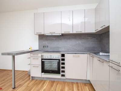 Wohnung mieten in 4641 Steinhaus (Bild 1)