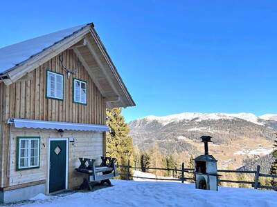 Jagd- und Forstwirtschaft kaufen in 9565 Reichenau (Bild 3)