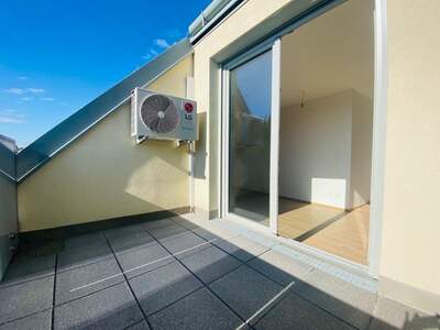 Terrassenwohnung mieten in 1230 Wien (Bild 5)