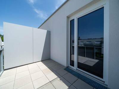 Terrassenwohnung mieten in 2104 Spillern (Bild 3)