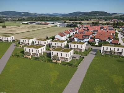 Haus kaufen in 4481 Raffelstetten (Bild 2)
