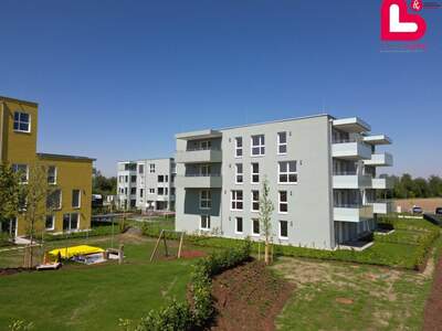 Wohnung mit Balkon kaufen in 4481 Asten (Bild 1)