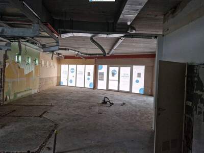 Gewerbeobjekt mieten in 2870 Aspang (Bild 4)