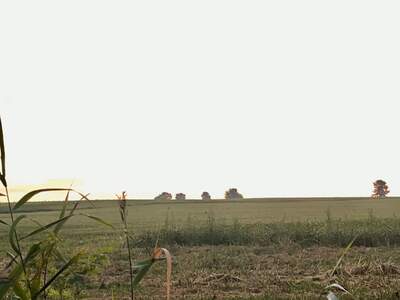 Grundstück kaufen in 7411 Markt Allhau (Bild 1)