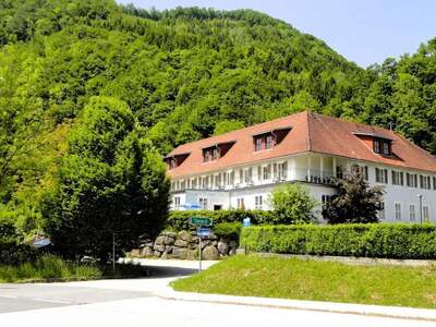 Gewerbeobjekt kaufen in 4463 Großraming