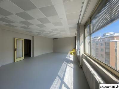 Gewerbeobjekt mieten in 1050 Wien (Bild 3)