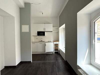 Gewerbeobjekt mieten in 1070 Wien