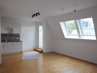 Wohnung provisionsfrei mieten in 1120 Wien