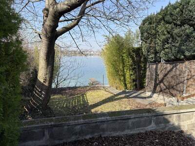 Haus kaufen in 2491 Neufeld (Bild 4)