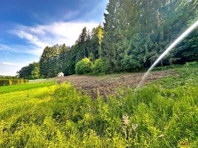 Grundstück kaufen in 8151 Mayersdorf