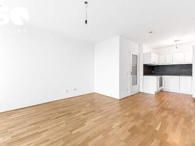 Wohnung kaufen in 1100 Wien