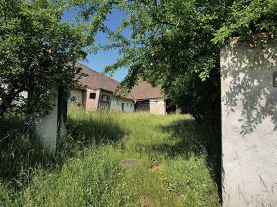 Haus mit Garten kaufen in 3823 Wetzles (Bild 1)