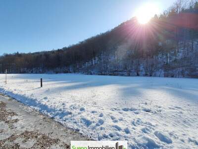 Grundstück kaufen in 4645 Grünau (Bild 1)