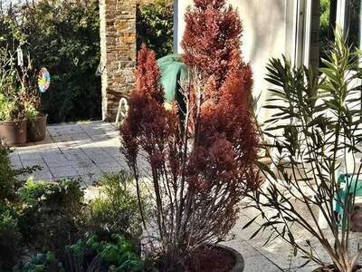 Haus kaufen in 8052 Graz