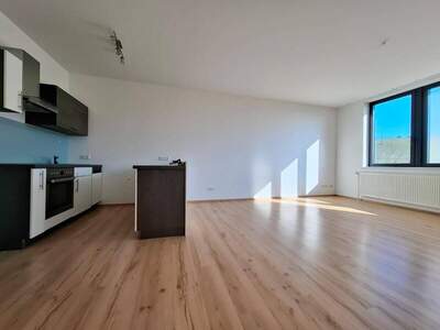 Mietwohnung in 4400 Steyr