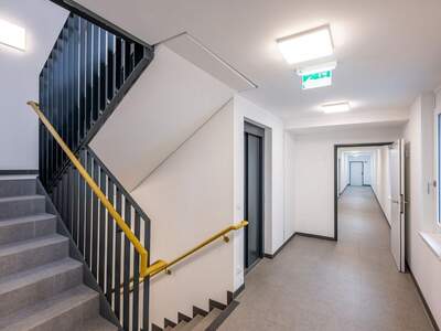 Wohnung mieten in 1200 Wien (Bild 5)