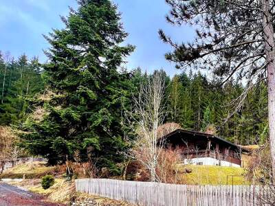 Haus kaufen in 6352 Ellmau