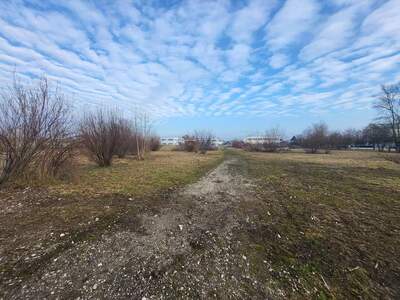 Gewerbegrundstück kaufen in 4600 Wels