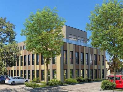 Gewerbeobjekt kaufen in 2700 Wiener Neustadt