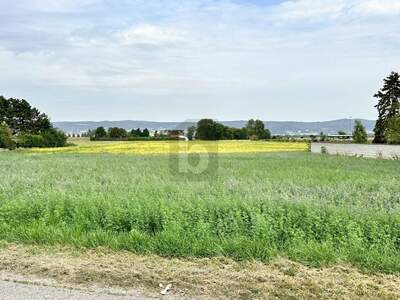 Grundstück kaufen in 7061 Trausdorf