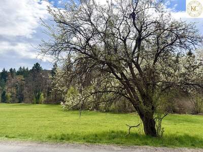 Grundstück kaufen in 8045 Graz