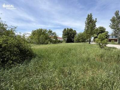 Grundstück kaufen in 7100 Neusiedl