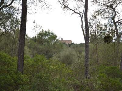 Immobilie kaufen in 7210 Algaida (Bild 3)