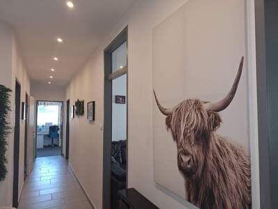 Wohnung provisionsfrei mieten in 2491 Neufeld