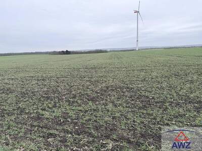 Gewerbeobjekt kaufen in 2263 Dürnkrut