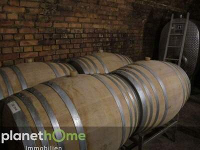 Gewerbeobjekt kaufen in 3550 Langenlois (Bild 1)