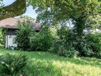 Grundstück kaufen in 4020 Leonding (Bild 2)