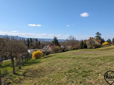 Grundstück kaufen in 8052 Graz (Bild 3)