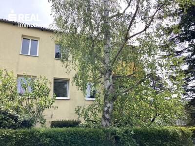 Terrassenwohnung kaufen in 2371 Hinterbrühl (Bild 4)