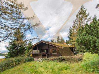 Haus kaufen in 4201 Eidenberg (Bild 1)