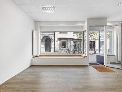 Gewerbeobjekt mieten in 2700 Wiener Neustadt (Bild 1)