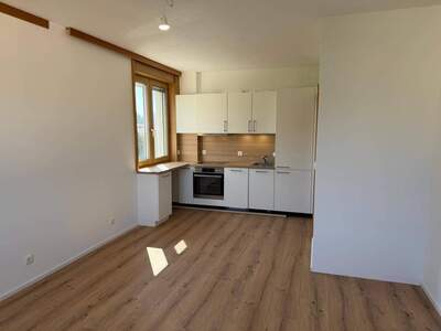 Wohnung kaufen in 5020 Salzburg