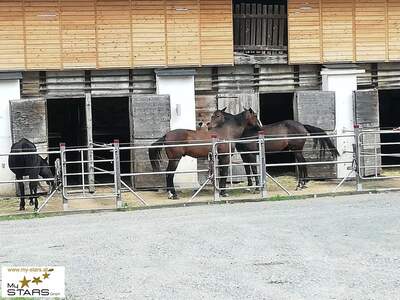 Immobilie mieten in 8732 Seckau (Bild 2)