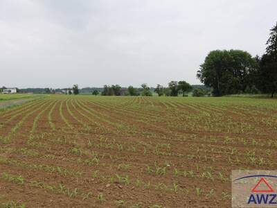 Gewerbeobjekt kaufen in 4343 Machland