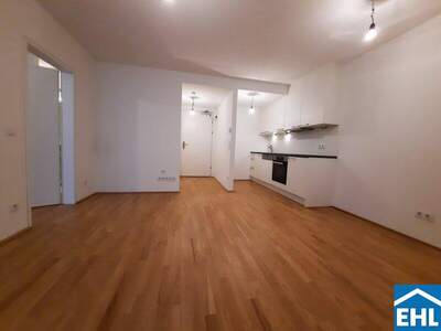 Terrassenwohnung mieten in 1220 Wien (Bild 3)