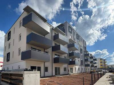 Wohnung mieten in 2700 Wiener Neustadt