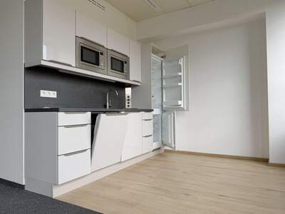 Gewerbeobjekt mieten in 8020 Graz (Bild 1)