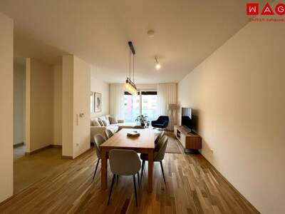 Terrassenwohnung mieten in 4020 Linz (Bild 1)