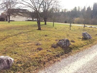 Grundstück kaufen in 5110 Oberndorf (Bild 3)