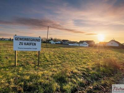 Grundstück kaufen in 4614 Marchtrenk (Bild 1)