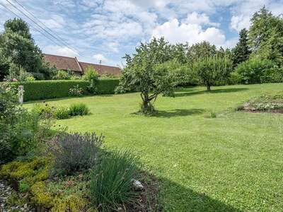 Haus mit Garten kaufen in 4062 Kirchberg (Bild 1)