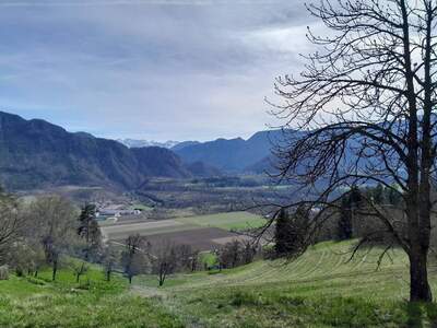 Gewerbeobjekt provisionsfrei mieten in 9133 Proboj