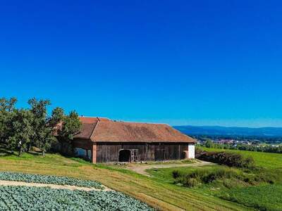 Bauernhof kaufen in 4612 Herrnholz